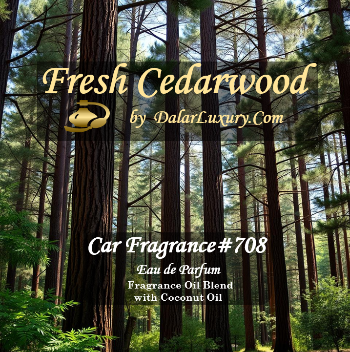 Car Perfume - Fresh Cedarwood - 708
