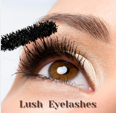 EYELASH ~ EYEBROW SERUM